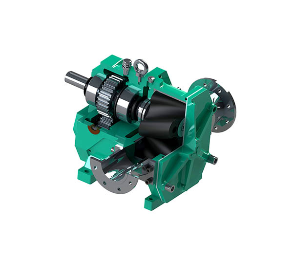 環(huán)保污水處理用轉(zhuǎn)子泵