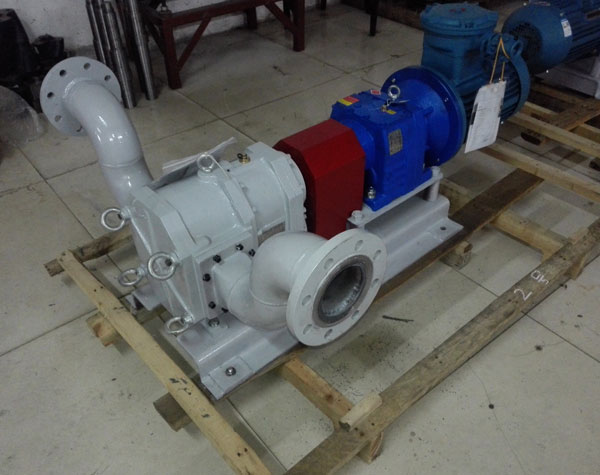 不銹鋼轉(zhuǎn)子泵日常維護(hù)保養(yǎng)需要注意哪些問題呢?