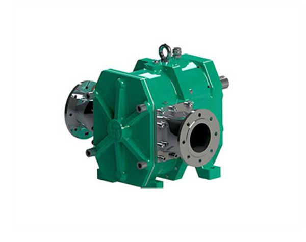 凸輪轉(zhuǎn)子泵廠家