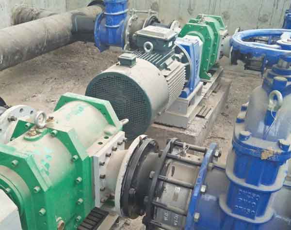 污水污泥泵 污水污泥泵